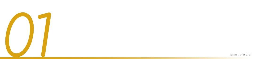 旺财28官网-冲着周杰伦“一轮游”来,却嗑起了澳网和国窖1573的CP