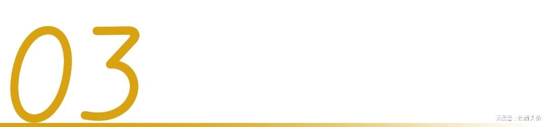 旺财28官网-冲着周杰伦“一轮游”来,却嗑起了澳网和国窖1573的CP